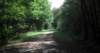 _131829_889_small.jpg