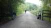 _133011_739_small.jpg