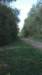 _135624_398_small.jpg