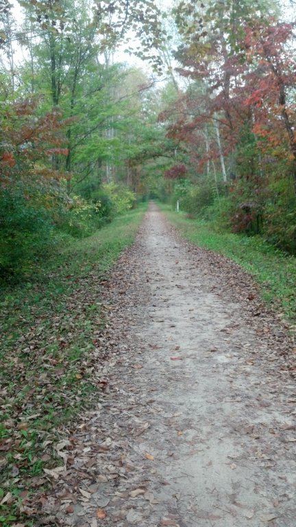 img_20131001_112100_141.jpg