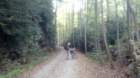 img_20131001_122522_295_small.jpg
