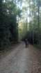 img_20131001_122530_890_small.jpg