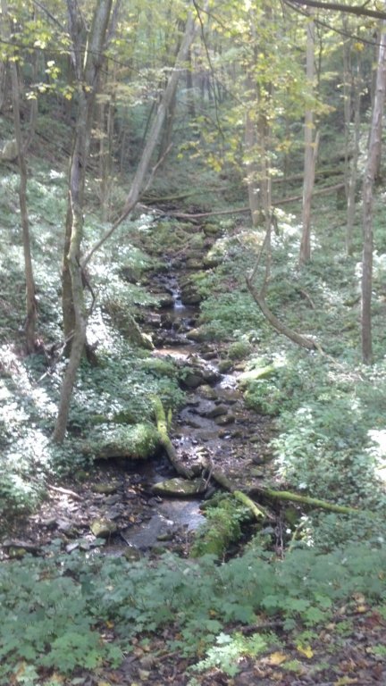 img_20131001_132144_055.jpg