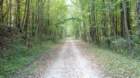 img_20131001_133800_399_small.jpg