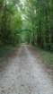 img_20131001_133816_147_small.jpg