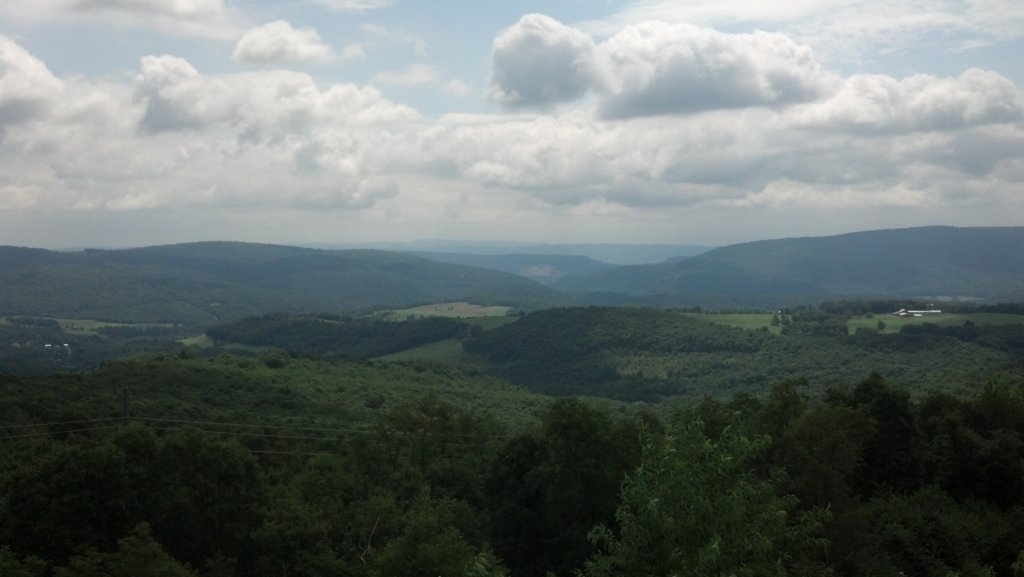 img_20140724_113622_242.jpg